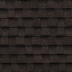 Шинглас Джаз Чикаго