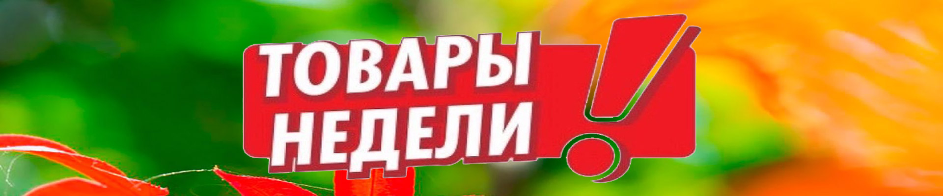 Акция. Успей купить по выгодной цене!