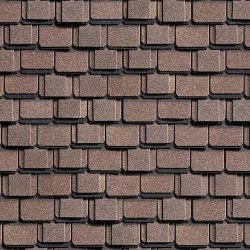 Шинглас Континент Африка