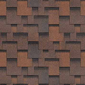 Шинглас Фокстрот Аккорд Кедр СБС